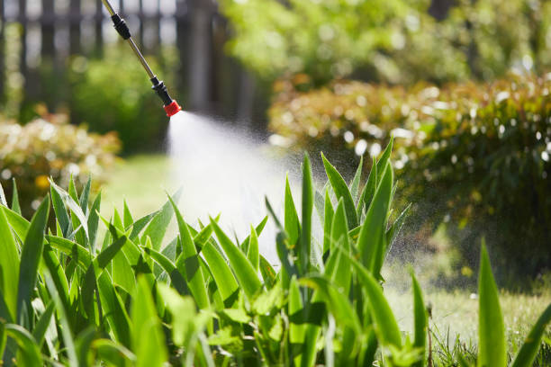 24/7 Emergency Mosquito Control experts in Colonial Park, PA